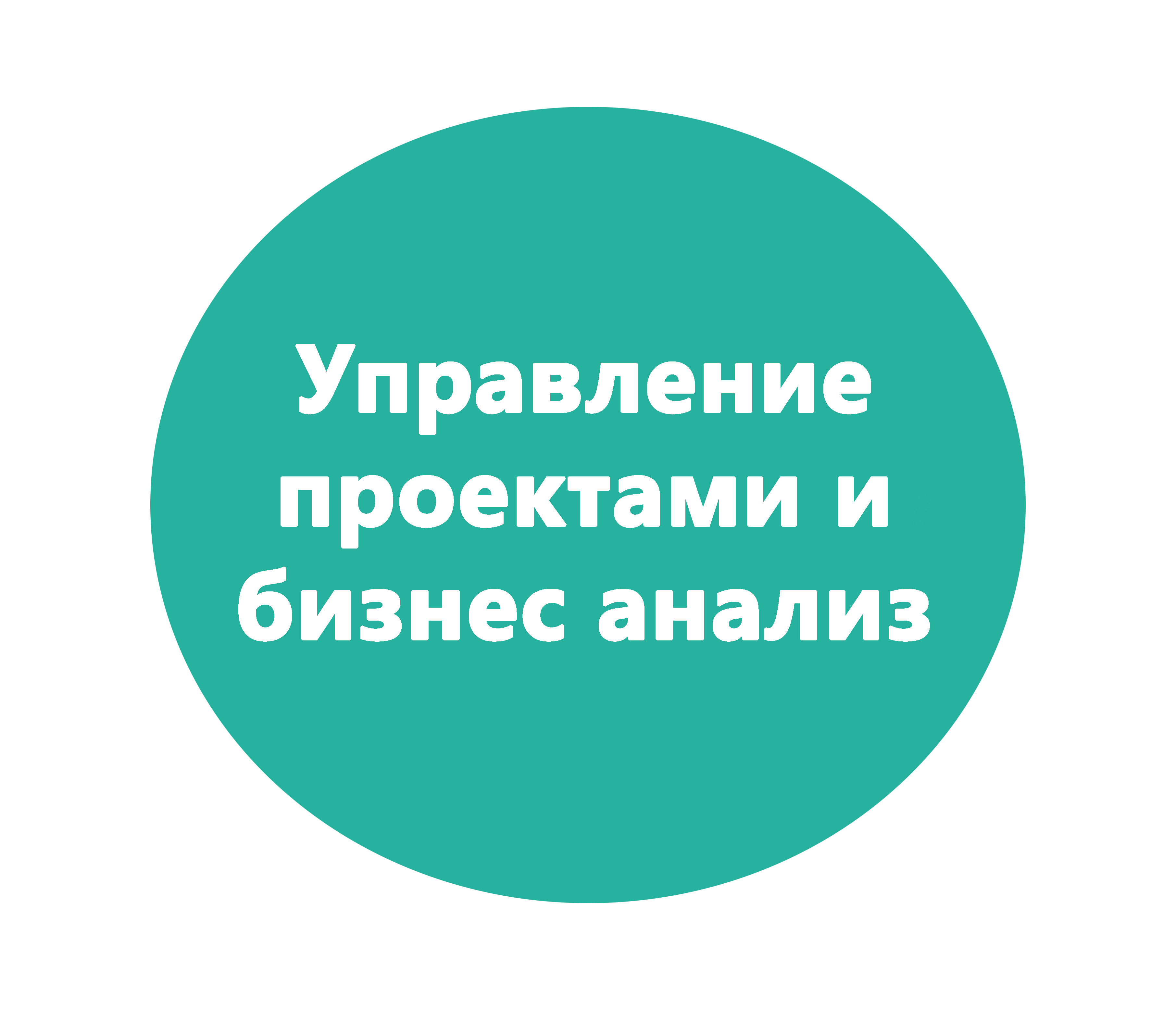 Управление проектами и бизнес анализ