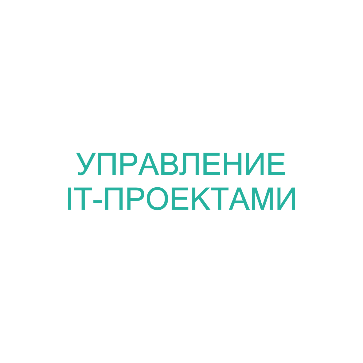 Управление IT проектами 