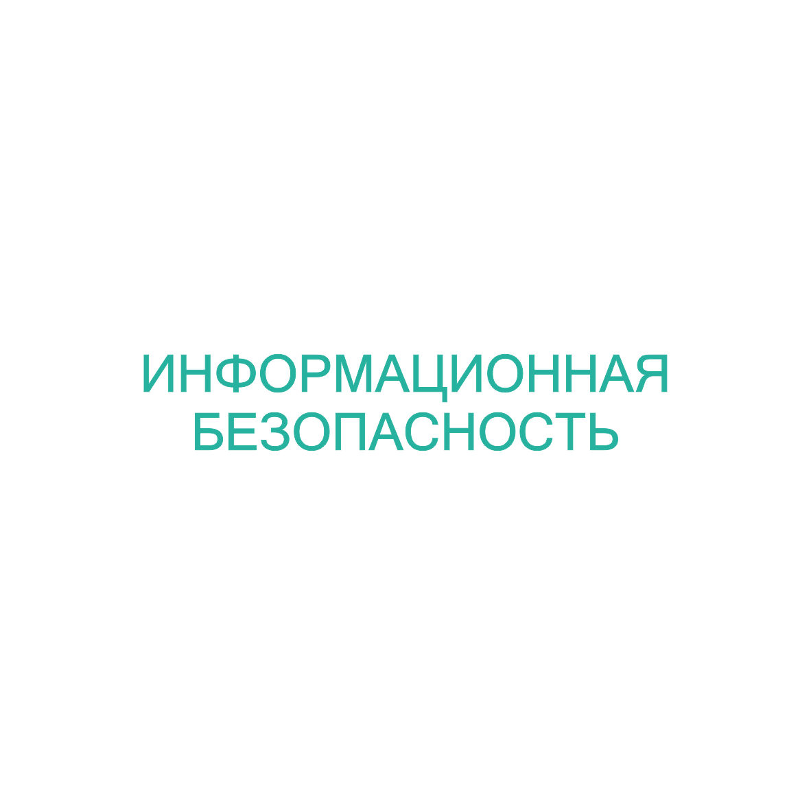 Информационная безопасность