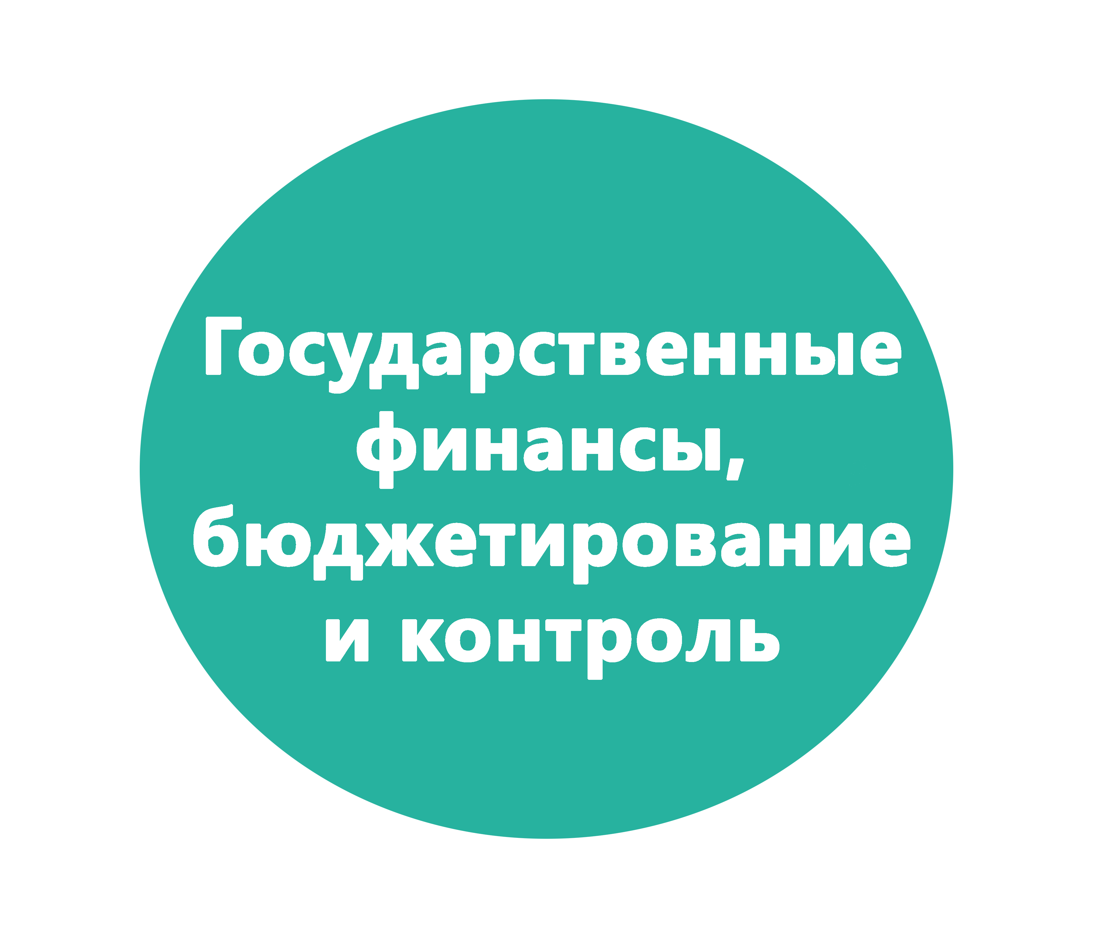 Государственные финансы. Бюджетирование и контроль