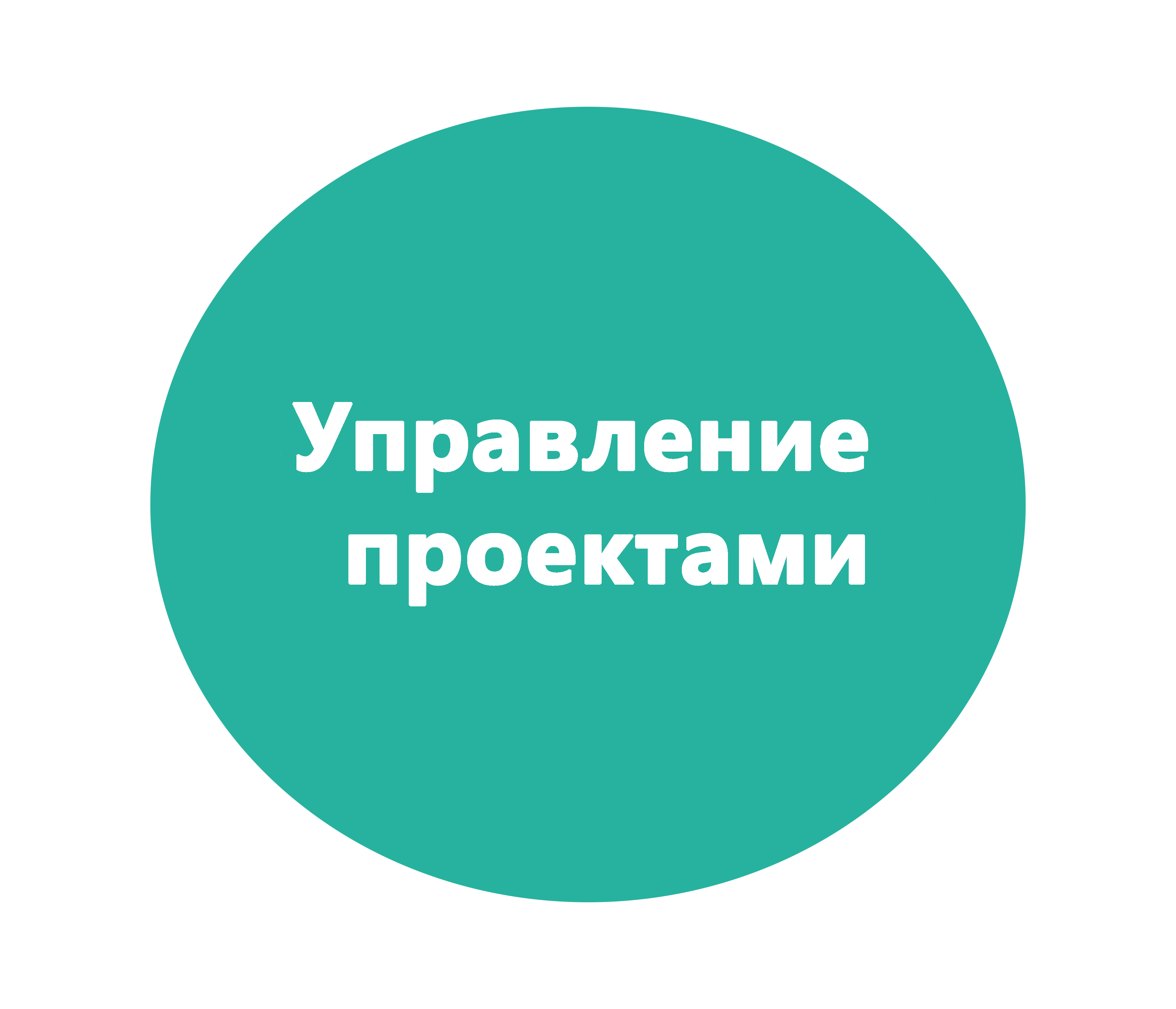 Управление проектами