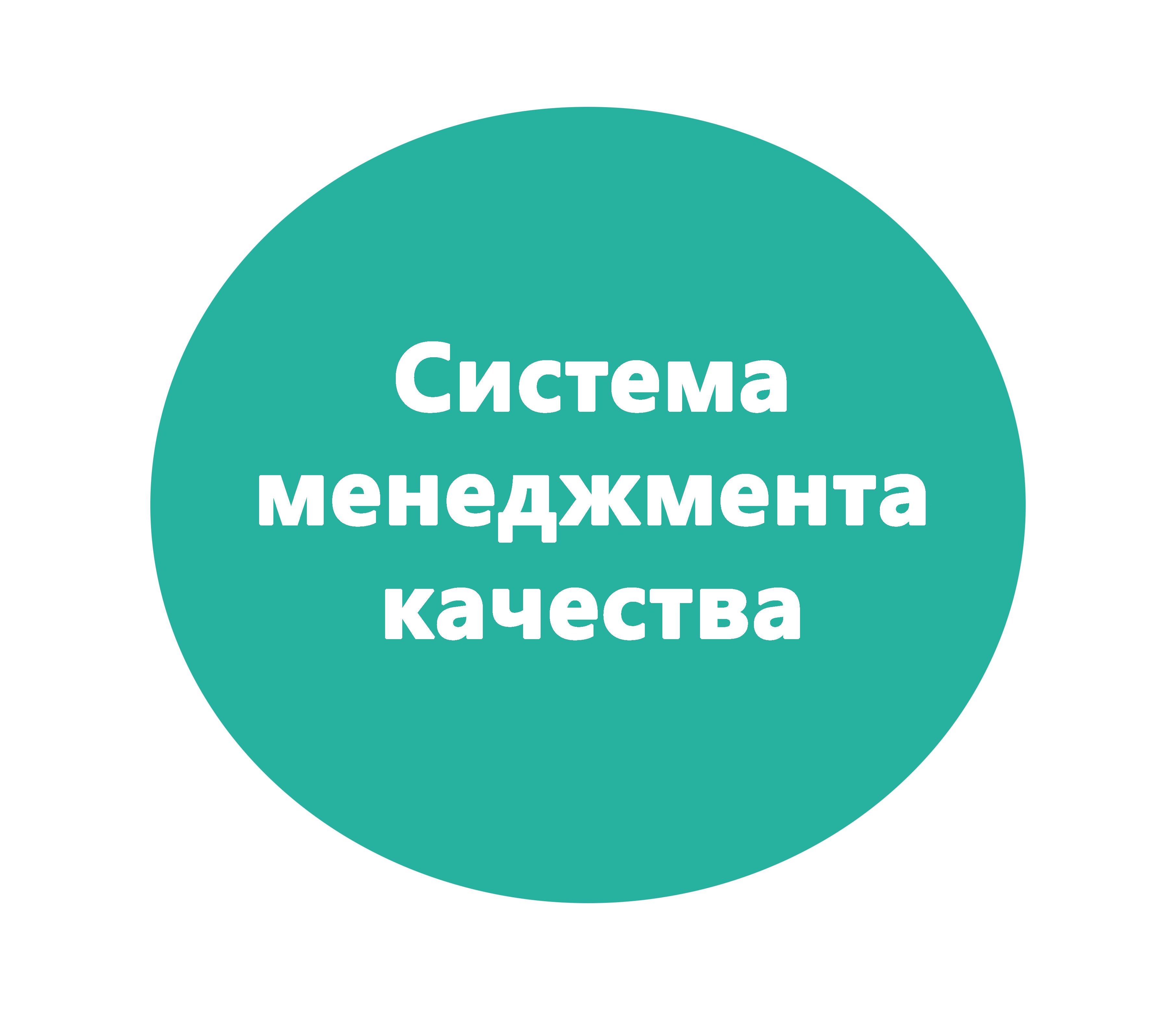 Система менеджмента качества