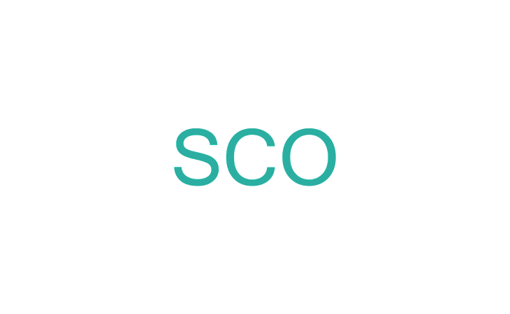 Курс: Администрирование SCO OpenServer