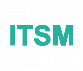 Курс: IT-менеджмент