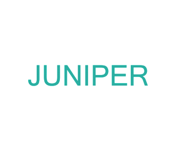 Курс: Мультикастная маршрутизация в JUNOS (JUNOS Multicast Routing)